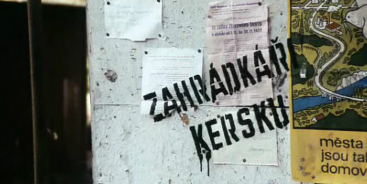 Středa statutárního řiditele v Šalingradu je třeba – zahrádkáři Kersku